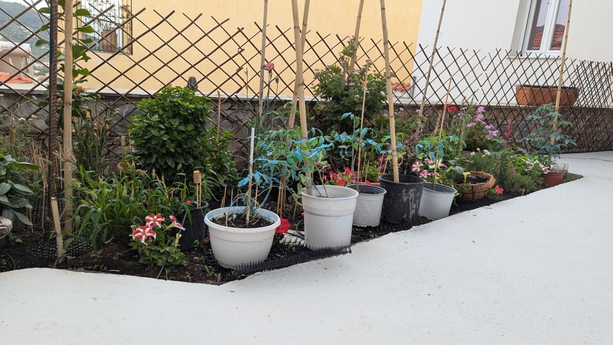 The Botanist Guesthouse 斯科派洛斯 外观 照片