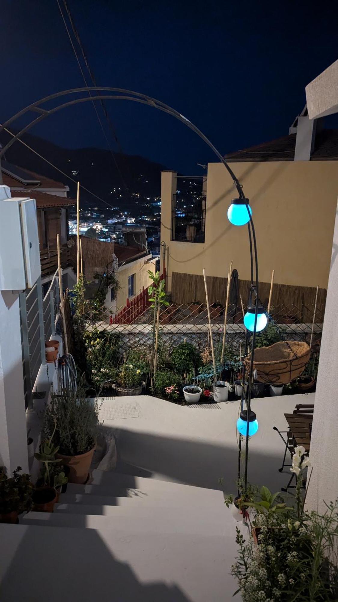 The Botanist Guesthouse 斯科派洛斯 外观 照片