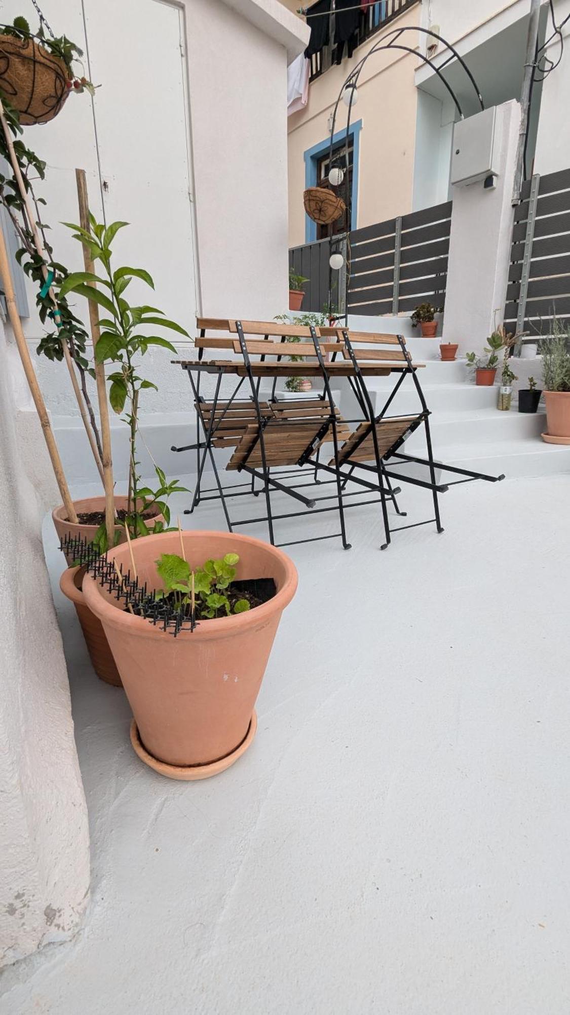 The Botanist Guesthouse 斯科派洛斯 外观 照片